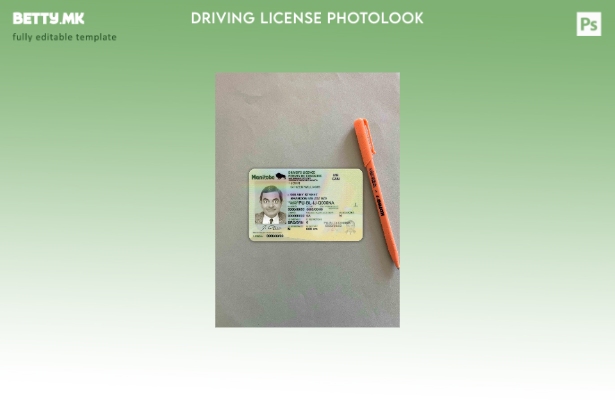 модерен стил Canada Manitoba DL photolook FRONT шаблон